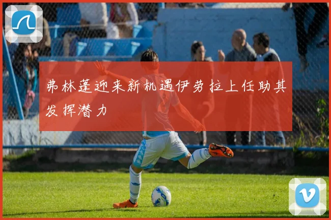 弗林蓬迎来新机遇伊劳拉上任助其发挥潜力